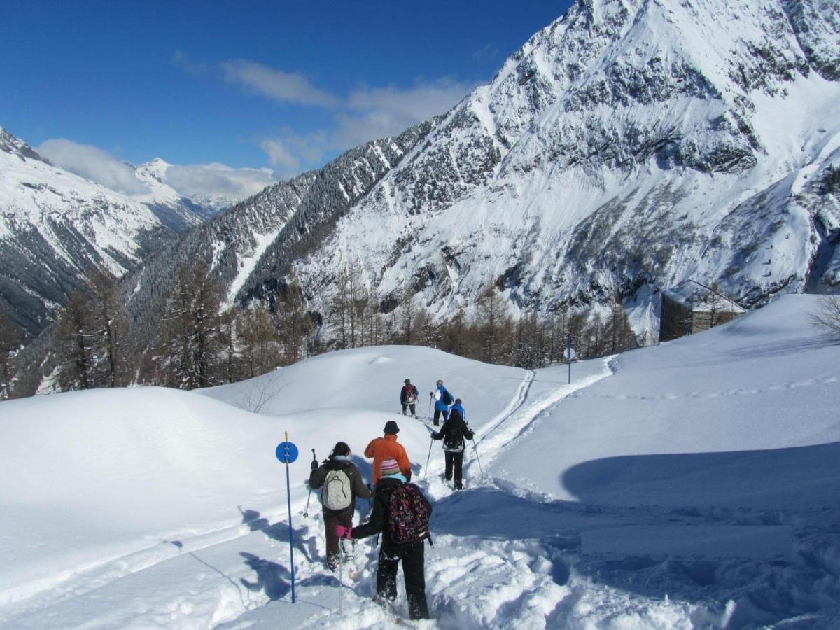Chalet Atc Routes Du Monde Argentiere-Chamonix Buitenkant foto