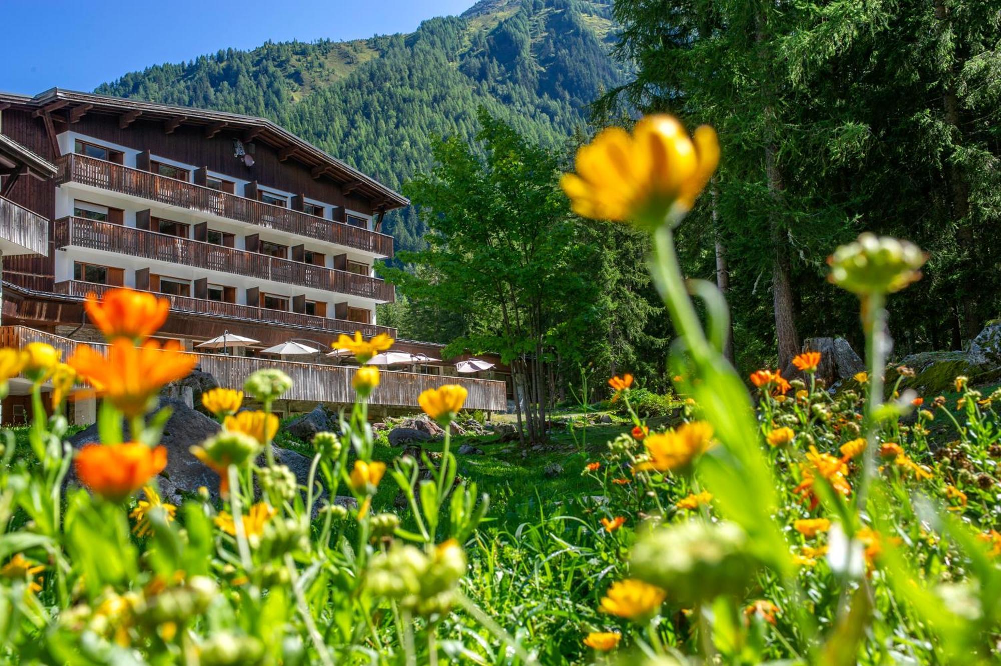Chalet Atc Routes Du Monde Argentiere-Chamonix Buitenkant foto